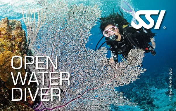 دوره غواصی اوپن واتر دایور (Open Water Diver) با استاندارد SSI