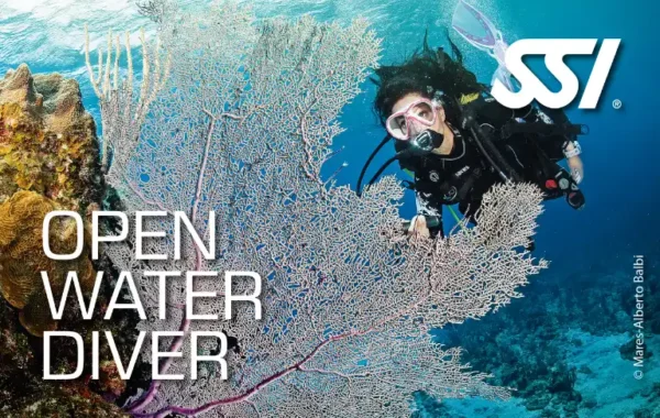 دوره غواصی Open Water Diver
