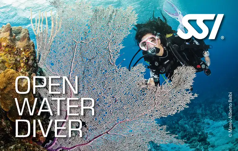 دوره غواصی Open Water Diver