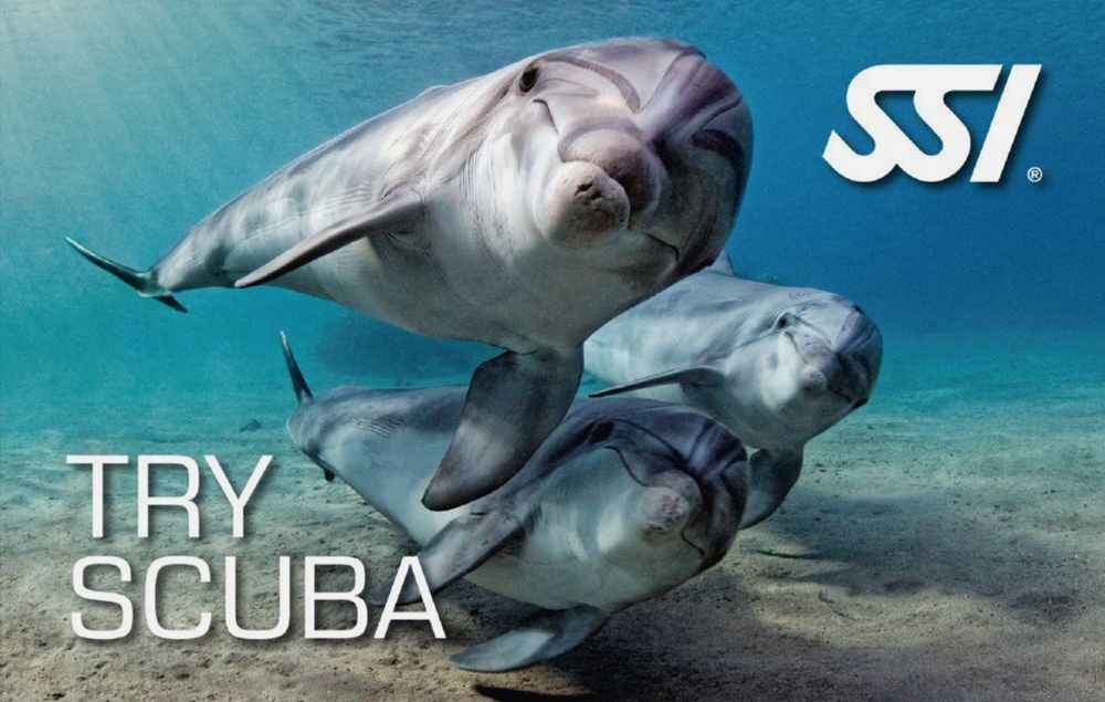 دوره آموزش غواصی Try Scuba SSI