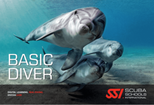 Try Scuba و Basic Diver : آموزش غواصی برای مبتدیان