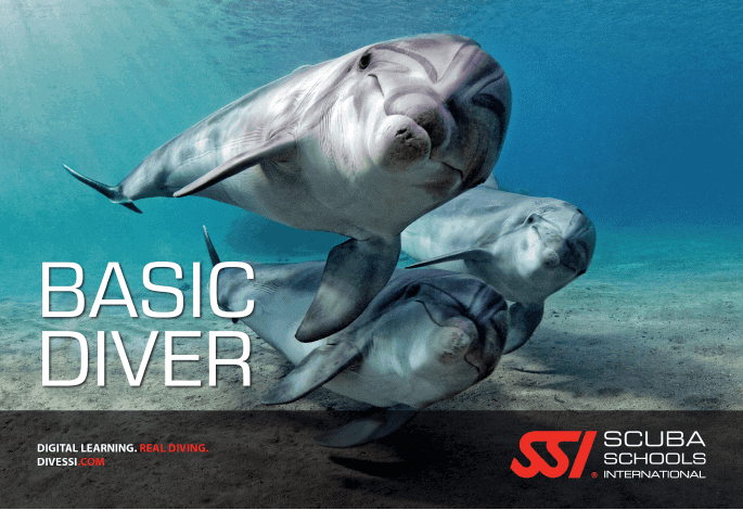 Try Scuba و Basic Diver : آموزش غواصی برای مبتدیان 4 Try Scuba و Basic Diver