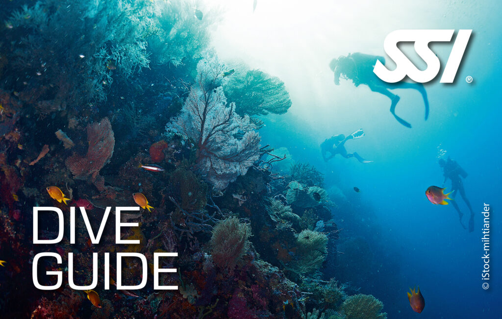 دوره آموزش راهنمای غواصی SSI Dive Guide در ایران - قشم، کیش و تهران