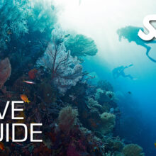 دوره آموزش راهنمای غواصی SSI Dive Guide