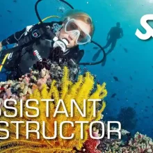 دوره آموزشی غواصی SSI Assistant Instructor