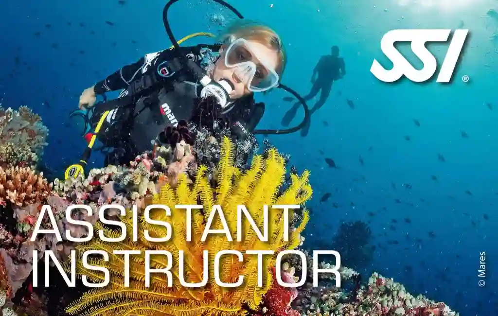 دوره آموزشی SSI Assistant Instructor در مرکز آموزش و لوازم غواصی اسکوبا ایران