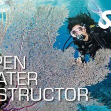دوره مربیگری غواصی آب‌های آزاد SSI Open Water Instructor