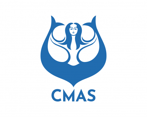 مدرک غواصی CAMS راهنمای کامل 2025 دریافت گواهینامه تخصصی غواصی 1 مدرک غواصی CAMS راهنمای کامل