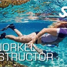 دوره مربیگری غواصی اسنورکلینگ SSI Snorkel Instructor