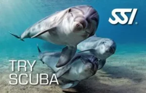 مدرک غواصی TRY SCUBA SSI چیست؟ راهنمای کامل 2025