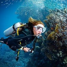 دوره آموزش Scuba Skills Update SSI