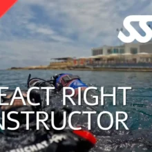 دوره آموزشی مربیگری SSI React Right Instructor