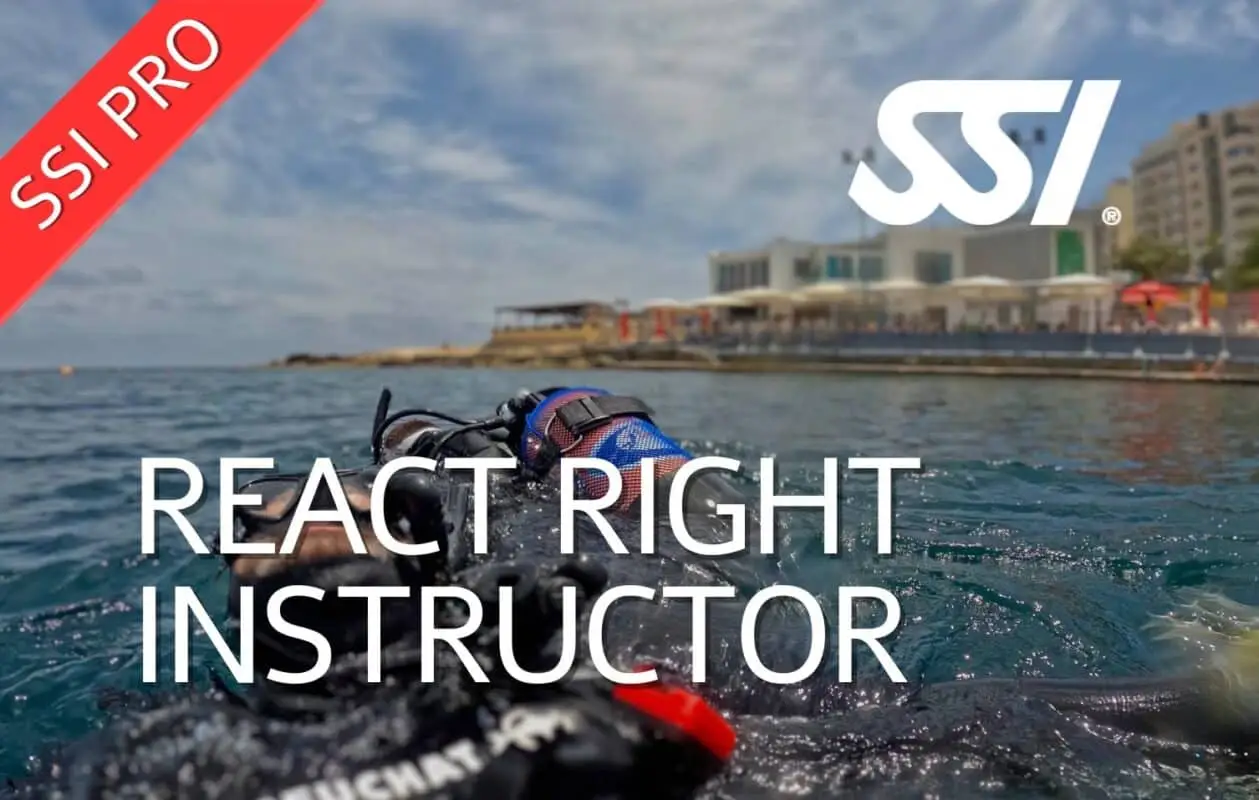 React Right Instructor