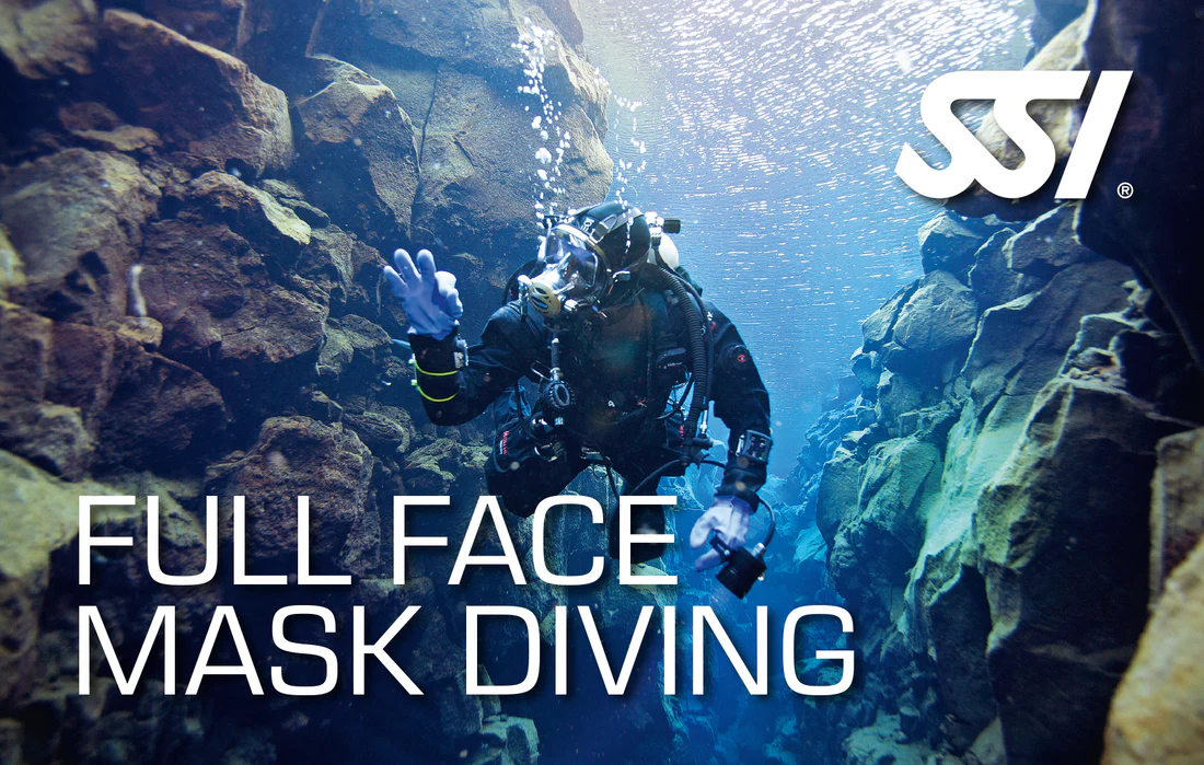 Full Face Mask