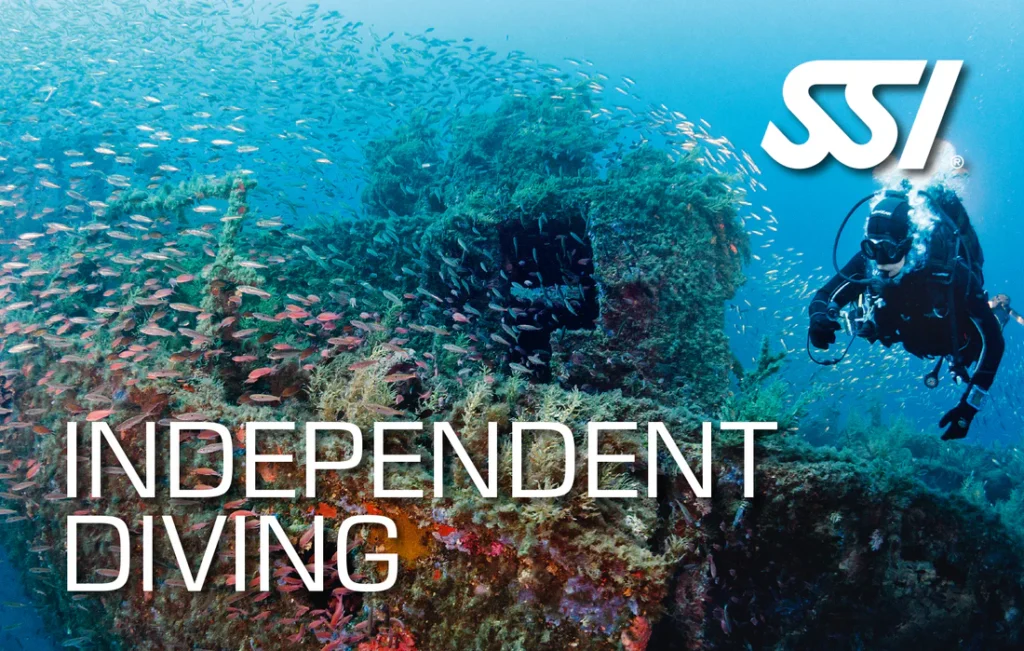 دوره آموزش غواصی Independent Diving SSI