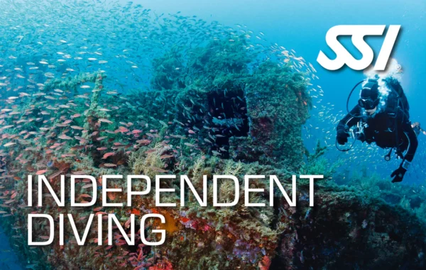 دوره آموزش غواصی Independent Diving SSI
