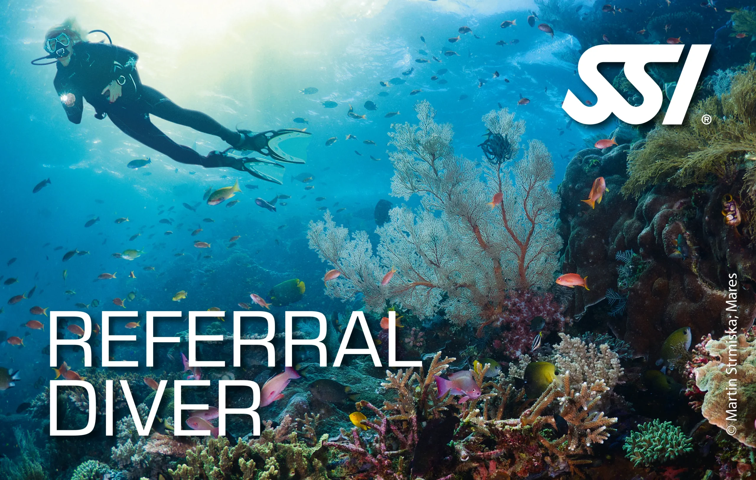 Referral Diver
