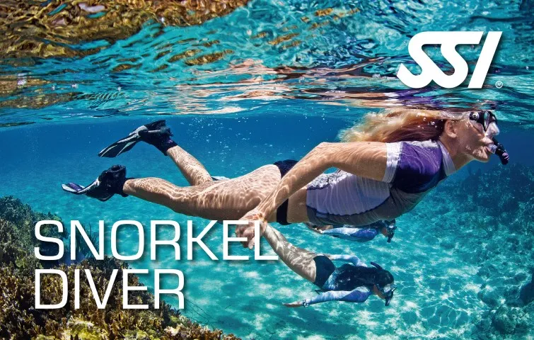 Snorkel Instructor SSI
