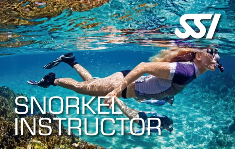 دوره آموزش مربیگری اسنورکلینگ SSI Snorkel Instructor | ورود حرفه‌ای به دنیای آموزش زیر آب