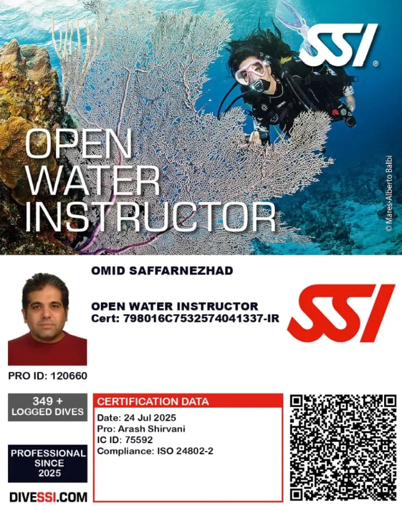 معرفی مدرک غواصی Basic Diver SSI