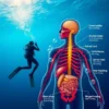 بیماری فشار Decompression Sickness : راهنمای کامل، علائم، پیشگیری و درمان 2025