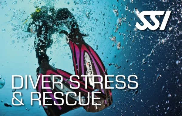 🛟 معرفی کامل مدرک غواصی SSI Diver Stress Rescue 2025 