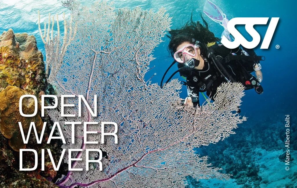 مدرک غواصی SSI Open Water Diver