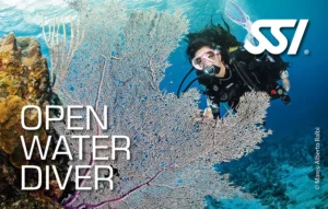 معرفی کامل مدرک غواصی SSI Open Water Diver 2025
