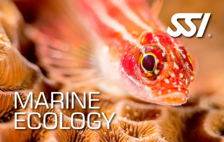 دوره تخصصی Marine Ecology SSI